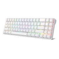 RK ROYAL KLUDGE RK71 RGB Wireless Mechanical Gaming Keyboard White